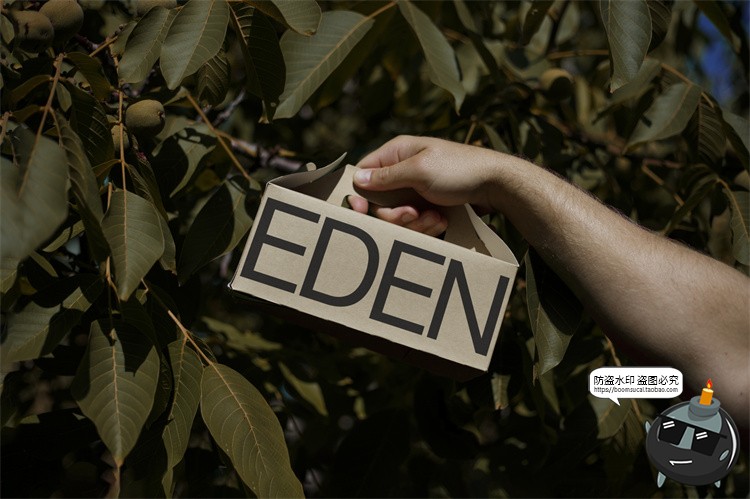 图片[11]-户外场景文创品牌VI应用包装名片T恤效果图展示样机PSD模板PS素材-设计猿