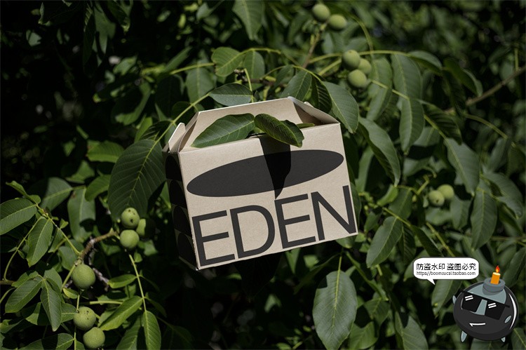 图片[15]-户外场景文创品牌VI应用包装名片T恤效果图展示样机PSD模板PS素材-设计猿