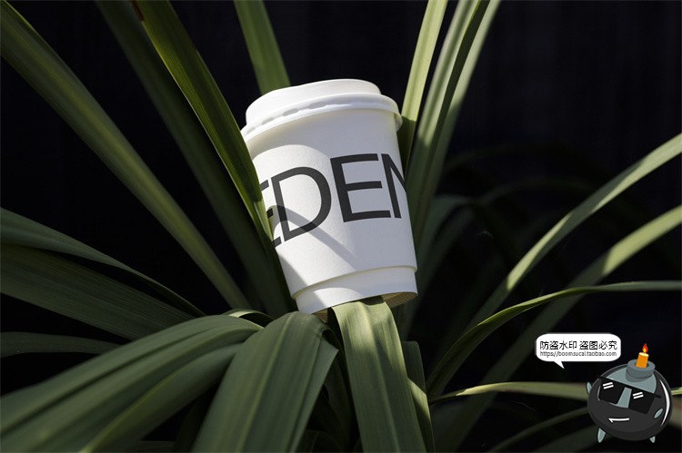 图片[20]-户外场景文创品牌VI应用包装名片T恤效果图展示样机PSD模板PS素材-设计猿