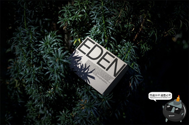 图片[21]-户外场景文创品牌VI应用包装名片T恤效果图展示样机PSD模板PS素材-设计猿