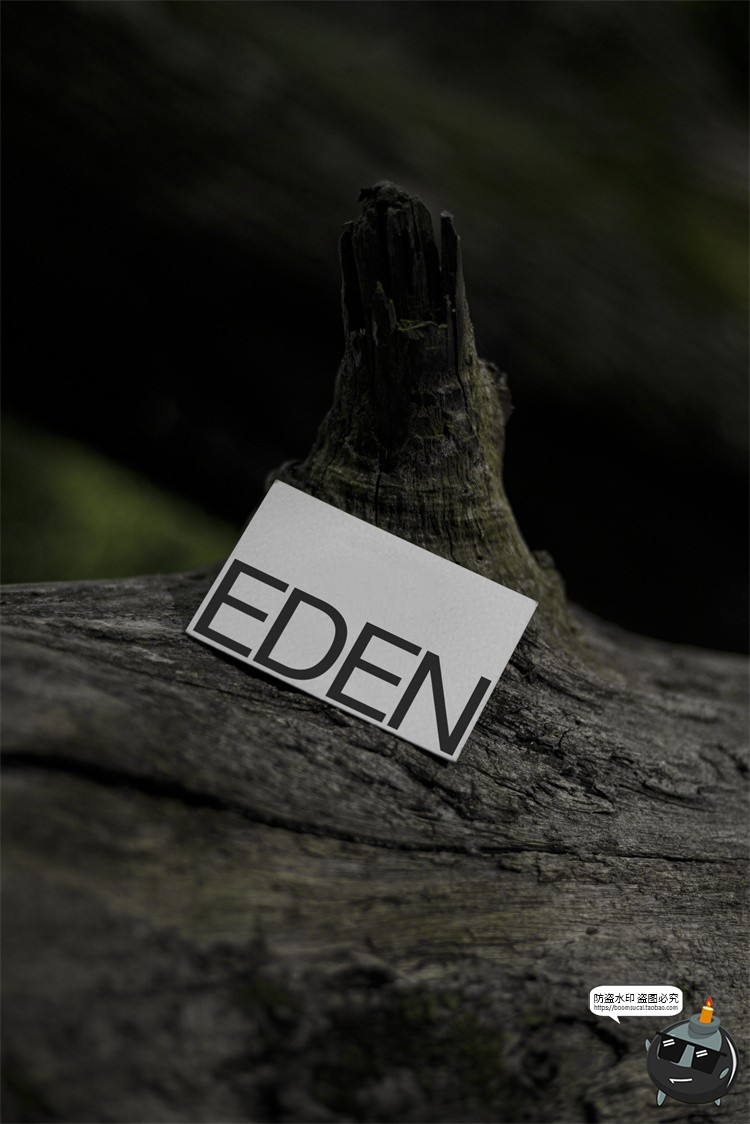 图片[27]-户外场景文创品牌VI应用包装名片T恤效果图展示样机PSD模板PS素材-设计猿