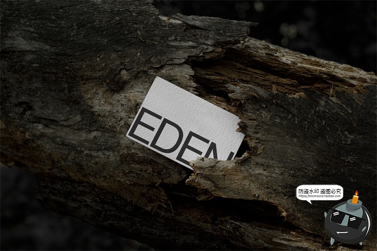 图片[28]-户外场景文创品牌VI应用包装名片T恤效果图展示样机PSD模板PS素材-设计猿