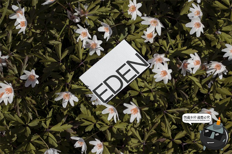 图片[29]-户外场景文创品牌VI应用包装名片T恤效果图展示样机PSD模板PS素材-设计猿