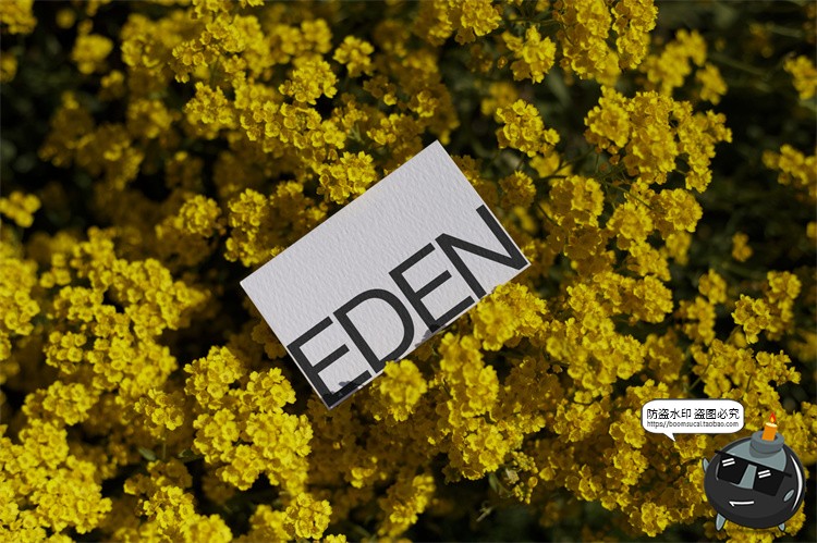 图片[31]-户外场景文创品牌VI应用包装名片T恤效果图展示样机PSD模板PS素材-设计猿