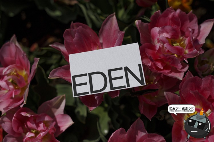 图片[32]-户外场景文创品牌VI应用包装名片T恤效果图展示样机PSD模板PS素材-设计猿