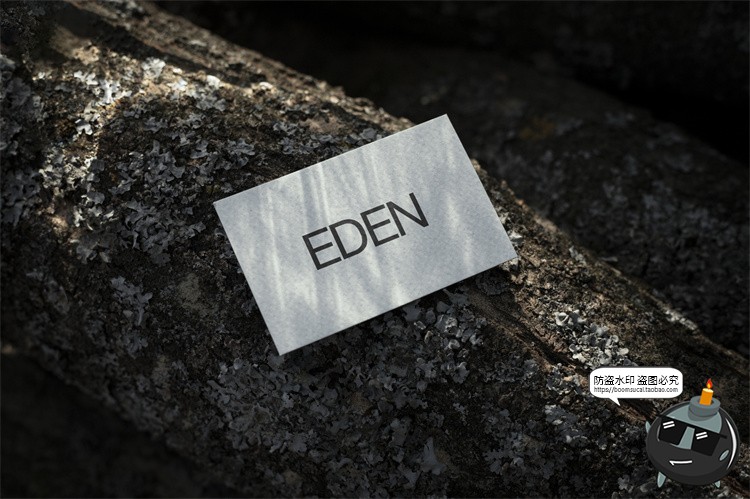 图片[33]-户外场景文创品牌VI应用包装名片T恤效果图展示样机PSD模板PS素材-设计猿