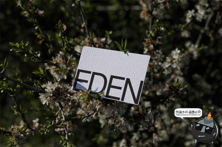 图片[34]-户外场景文创品牌VI应用包装名片T恤效果图展示样机PSD模板PS素材-设计猿