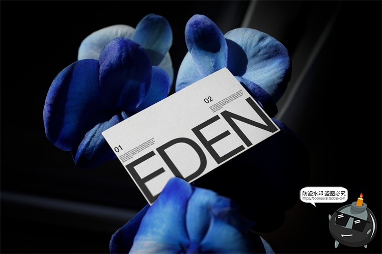 图片[36]-户外场景文创品牌VI应用包装名片T恤效果图展示样机PSD模板PS素材-设计猿