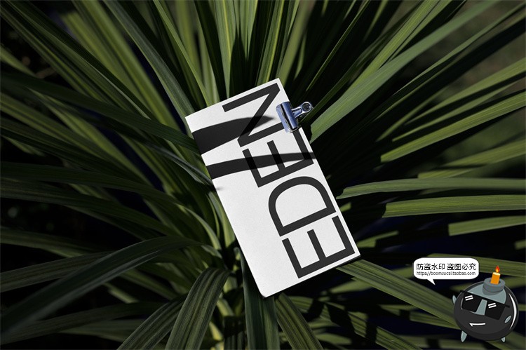 图片[37]-户外场景文创品牌VI应用包装名片T恤效果图展示样机PSD模板PS素材-设计猿