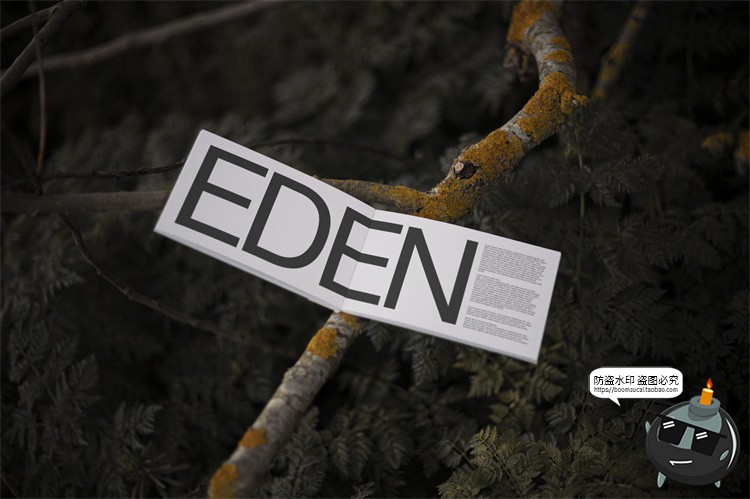 图片[40]-户外场景文创品牌VI应用包装名片T恤效果图展示样机PSD模板PS素材-设计猿