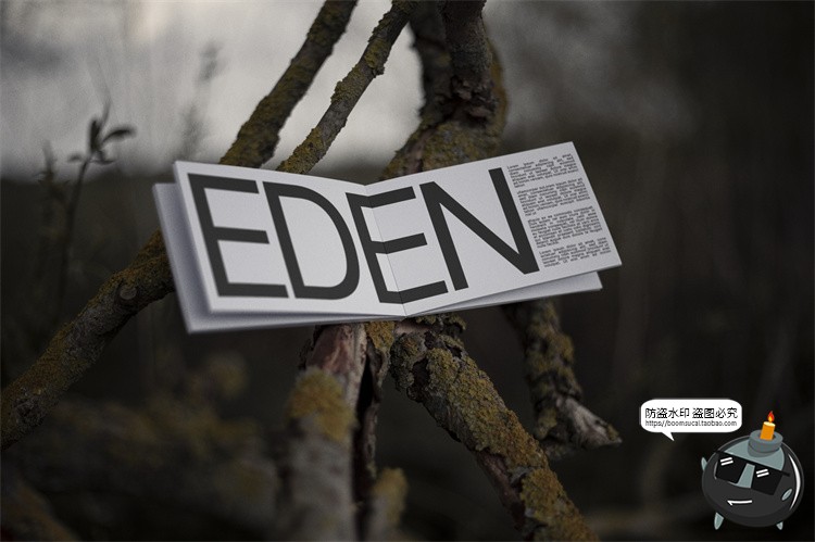 图片[41]-户外场景文创品牌VI应用包装名片T恤效果图展示样机PSD模板PS素材-设计猿