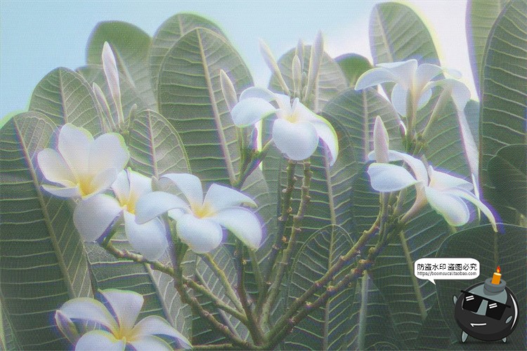 图片[3]-照片图像低墨无色打印低饱和褪色复古做旧老照片特效样机PSD素材-设计猿