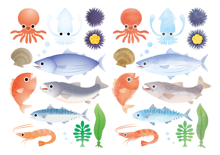 手绘海鲜海产品水产食用食材鱼类海鱼插画图案合集AI矢量手账素材-设计猿