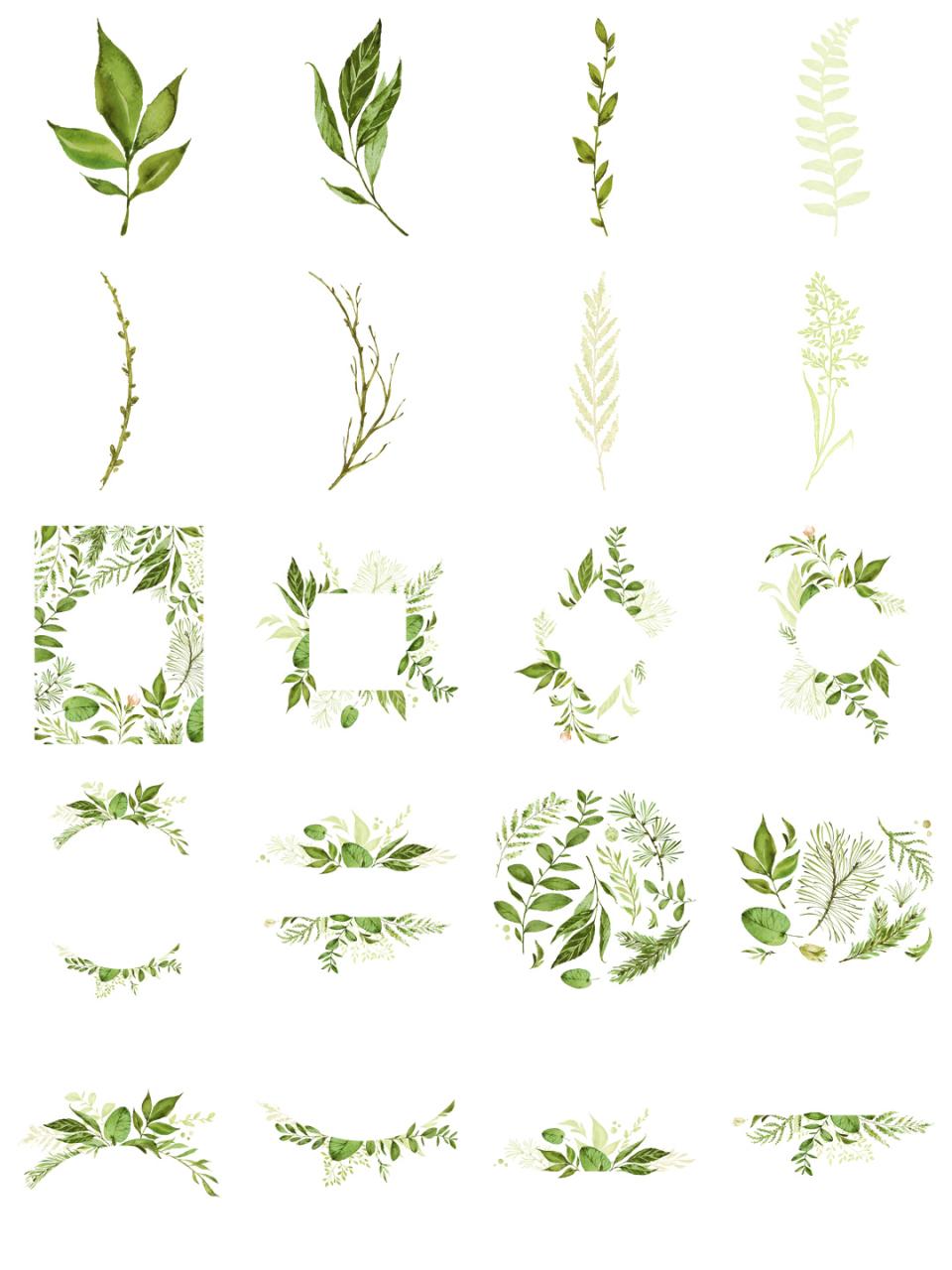 水彩手绘植物叶子小清新枝条绿色春夏海报背景PNG元素平面PS素材-设计猿