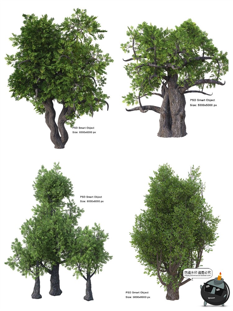 茂盛树木郁郁葱葱大树枯树绿叶园林景观后期合成PSD模板PS素材-设计猿