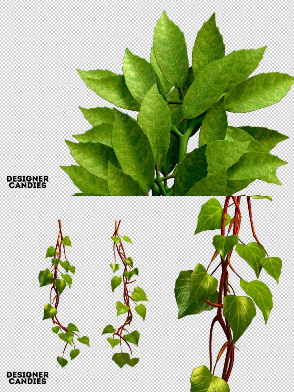 3D绿色植物叶片藤蔓装饰图片元素海报PNG免抠合成PS设计高清素材-设计猿