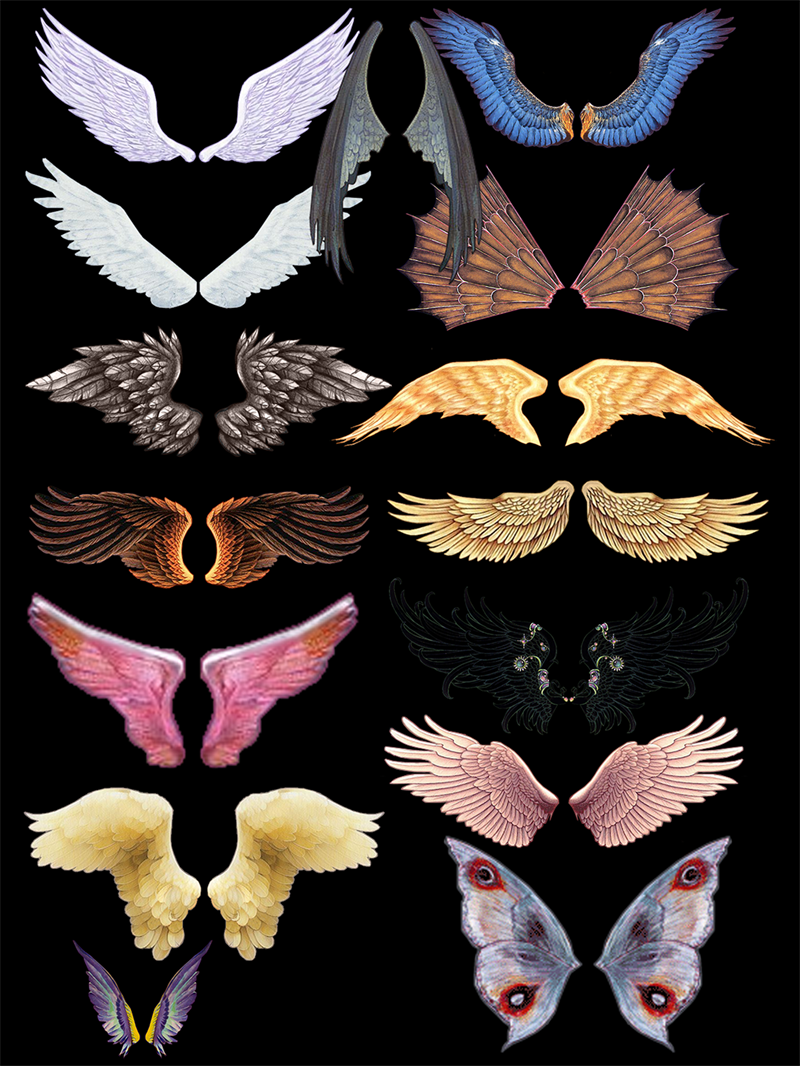 图片[6]-梦幻翅膀蝴蝶恶魔透明天使翅膀PS笔刷触PSD模板影楼后期合成素材-设计猿