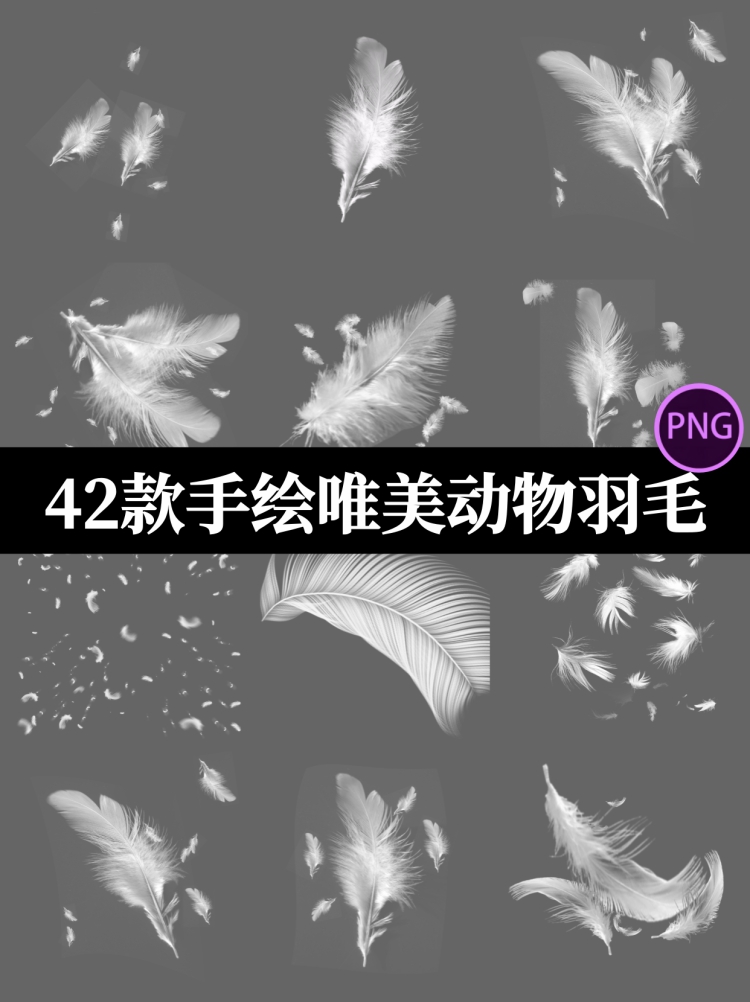 白色唯美透明轻盈羽毛飘落动物羽绒影楼装饰元素PNG免抠PS素材图-设计猿