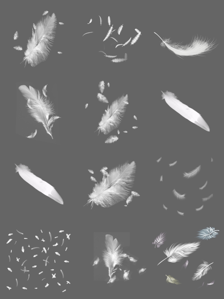 图片[2]-白色唯美透明轻盈羽毛飘落动物羽绒影楼装饰元素PNG免抠PS素材图-设计猿