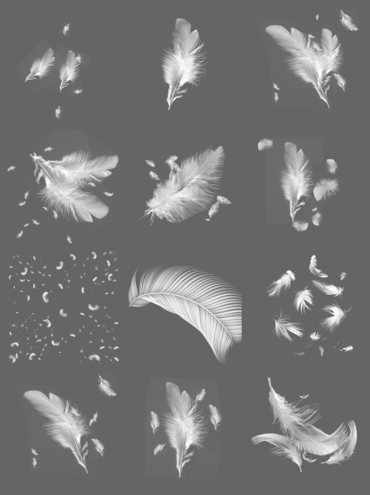 图片[3]-白色唯美透明轻盈羽毛飘落动物羽绒影楼装饰元素PNG免抠PS素材图-设计猿