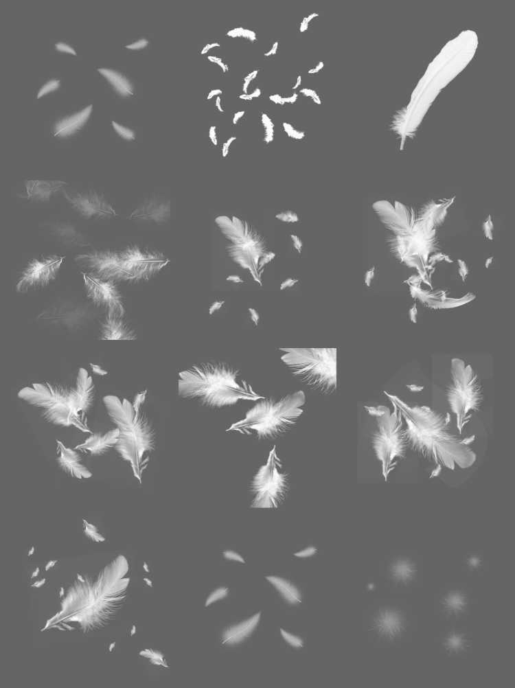 图片[4]-白色唯美透明轻盈羽毛飘落动物羽绒影楼装饰元素PNG免抠PS素材图-设计猿