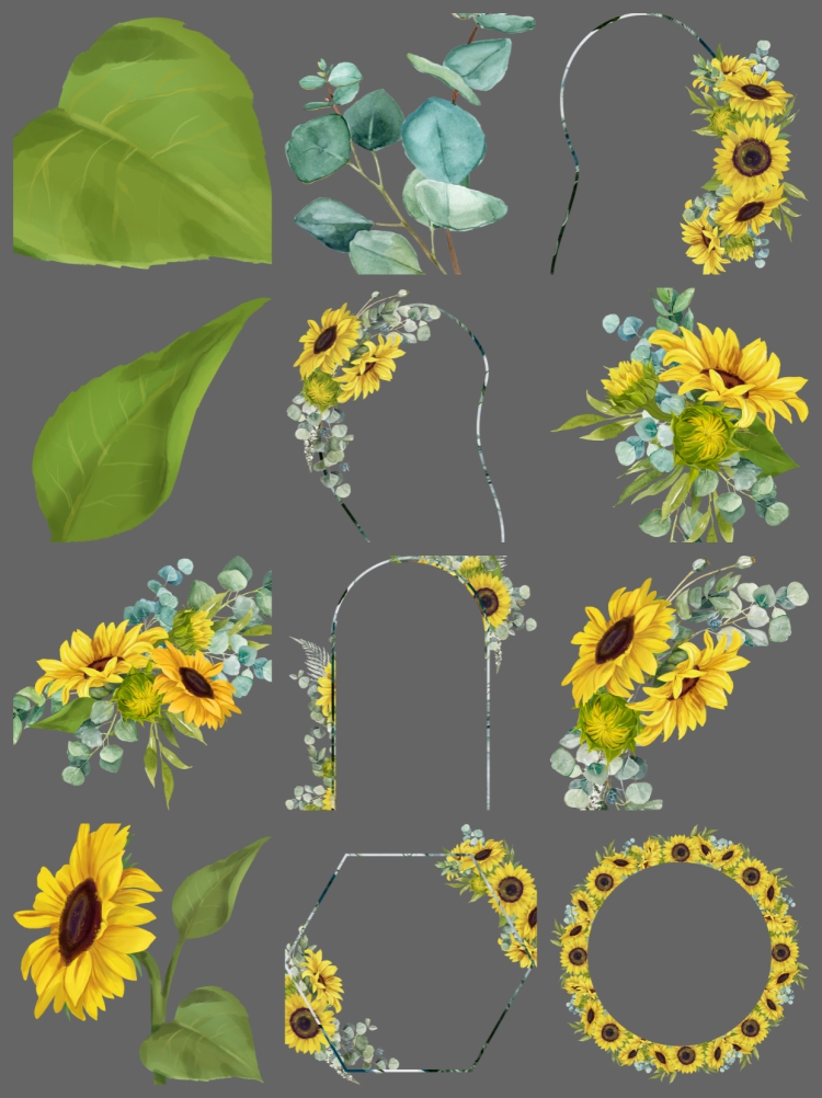 图片[3]-手绘水彩向日葵花朵叶子植物边框插画邀请函装饰PNG免扣设计素材-设计猿