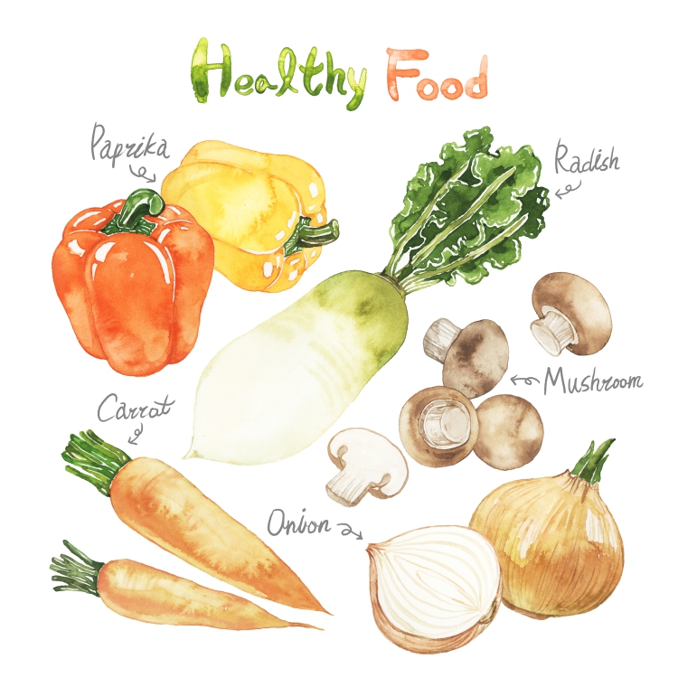 图片[4]-手绘可爱水彩西瓜香蕉菠萝草莓石榴夏季热带水果高清PNG设计素材-设计猿