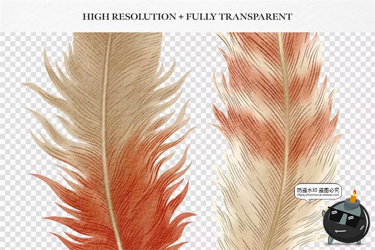 图片[6]-波西米亚乡村水彩优雅羽毛插图无缝拼接图案插画PNG免抠图片素材-设计猿