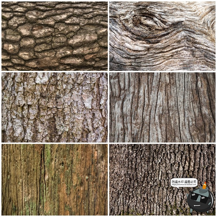 图片[1]-真实树木树皮纹理裂纹木纹材质贴图后期合成JPG背景高清图片素材-设计猿