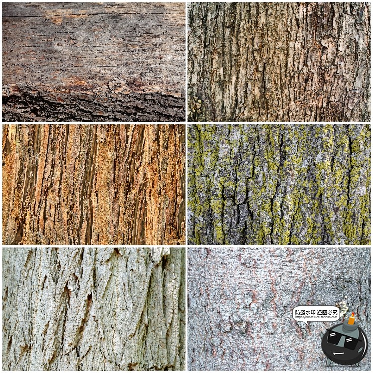 图片[2]-真实树木树皮纹理裂纹木纹材质贴图后期合成JPG背景高清图片素材-设计猿