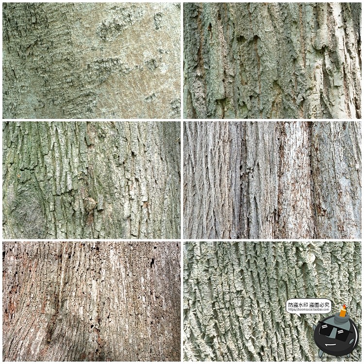 图片[3]-真实树木树皮纹理裂纹木纹材质贴图后期合成JPG背景高清图片素材-设计猿