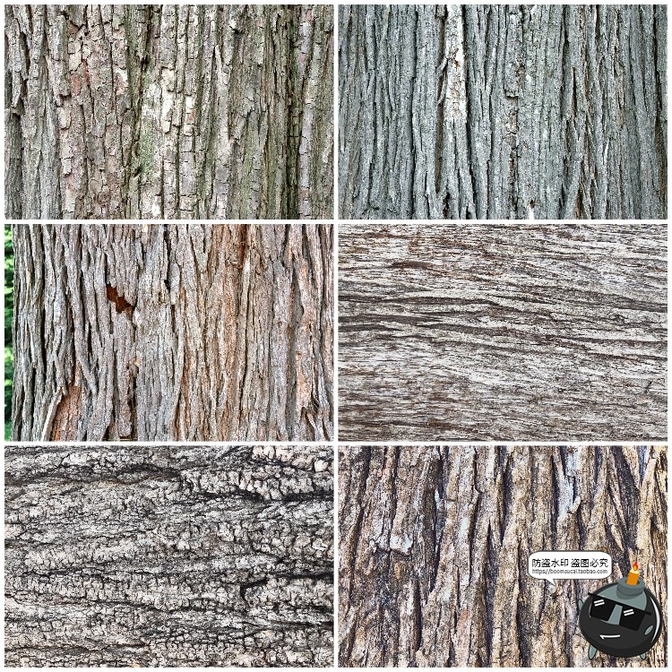 图片[4]-真实树木树皮纹理裂纹木纹材质贴图后期合成JPG背景高清图片素材-设计猿