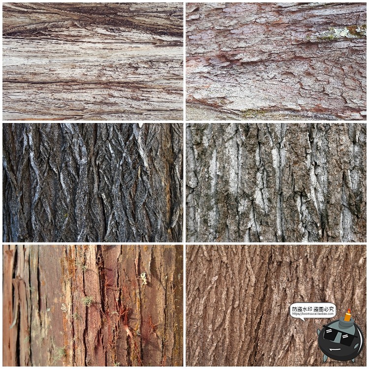 图片[7]-真实树木树皮纹理裂纹木纹材质贴图后期合成JPG背景高清图片素材-设计猿