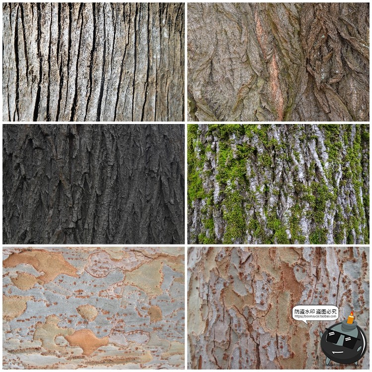 图片[8]-真实树木树皮纹理裂纹木纹材质贴图后期合成JPG背景高清图片素材-设计猿