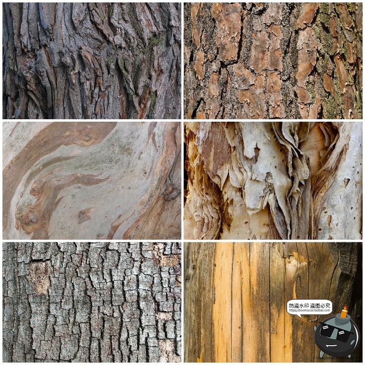 图片[9]-真实树木树皮纹理裂纹木纹材质贴图后期合成JPG背景高清图片素材-设计猿