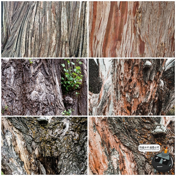 图片[10]-真实树木树皮纹理裂纹木纹材质贴图后期合成JPG背景高清图片素材-设计猿