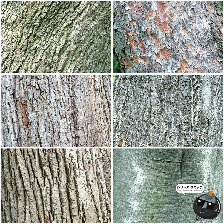 图片[14]-真实树木树皮纹理裂纹木纹材质贴图后期合成JPG背景高清图片素材-设计猿