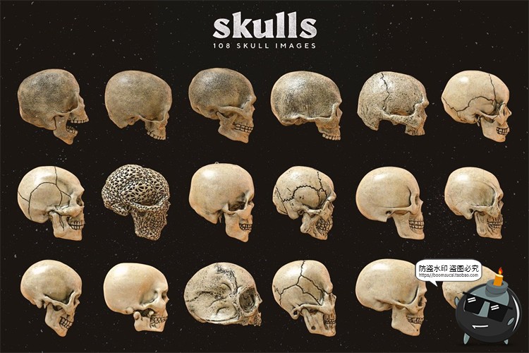 图片[9]-金属骷髅头骨骷颅头骨头骨骼潮流3D立体装饰元素PNG免抠图片素材-设计猿