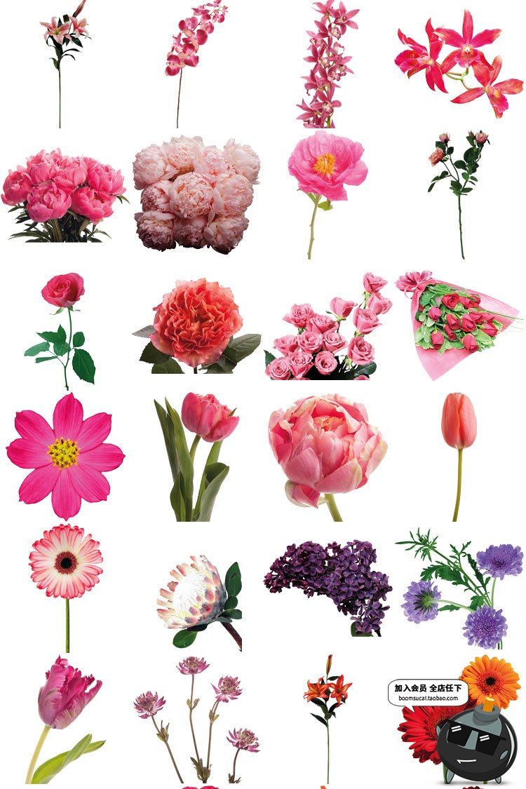 图片[2]-真实鲜花花束花朵装饰影楼后期设计高清图PNG透明免抠图片PS素材-设计猿