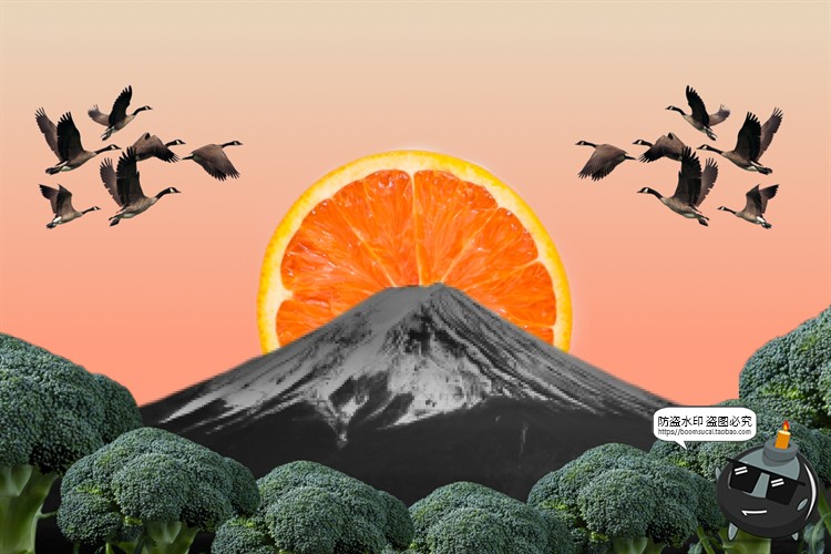 图片[2]-抽象风复古剪报老照片创意拼贴剪贴画元素PNG免抠JPG背景图片素材-设计猿