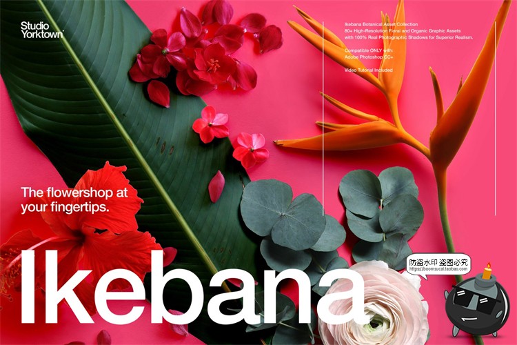 图片[1]-艺术鲜花花卉花瓣玫瑰树叶装饰元素插画PSD分层源文件模板PS素材-设计猿