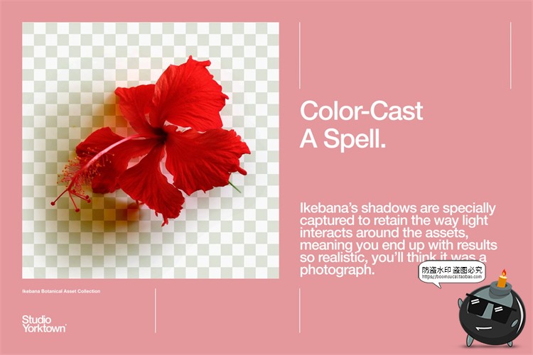 图片[3]-艺术鲜花花卉花瓣玫瑰树叶装饰元素插画PSD分层源文件模板PS素材-设计猿