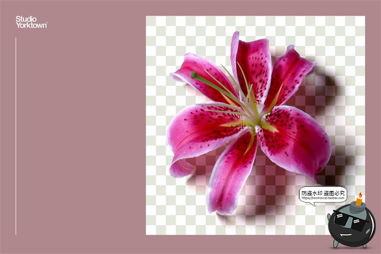 图片[4]-艺术鲜花花卉花瓣玫瑰树叶装饰元素插画PSD分层源文件模板PS素材-设计猿