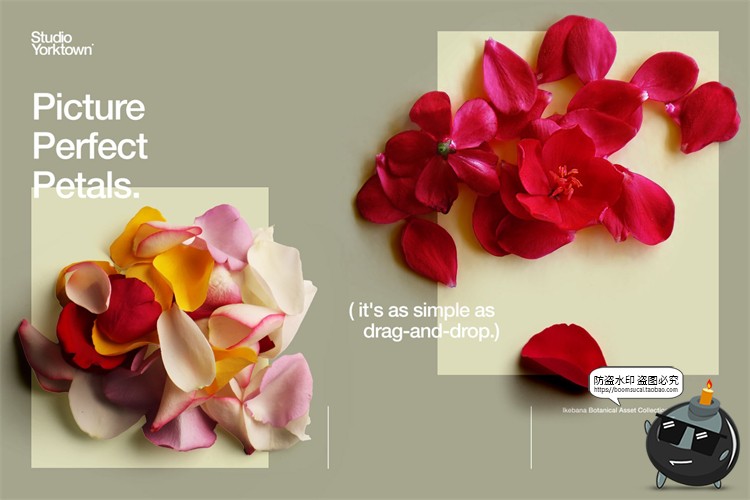 图片[5]-艺术鲜花花卉花瓣玫瑰树叶装饰元素插画PSD分层源文件模板PS素材-设计猿