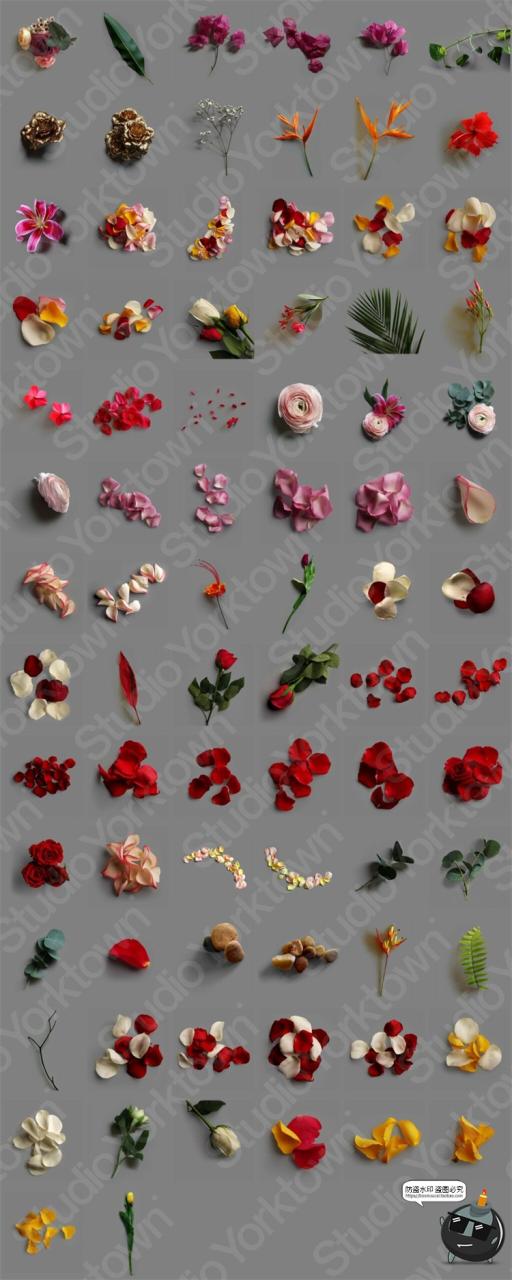 图片[7]-艺术鲜花花卉花瓣玫瑰树叶装饰元素插画PSD分层源文件模板PS素材-设计猿