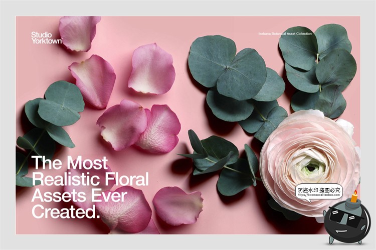 图片[12]-艺术鲜花花卉花瓣玫瑰树叶装饰元素插画PSD分层源文件模板PS素材-设计猿