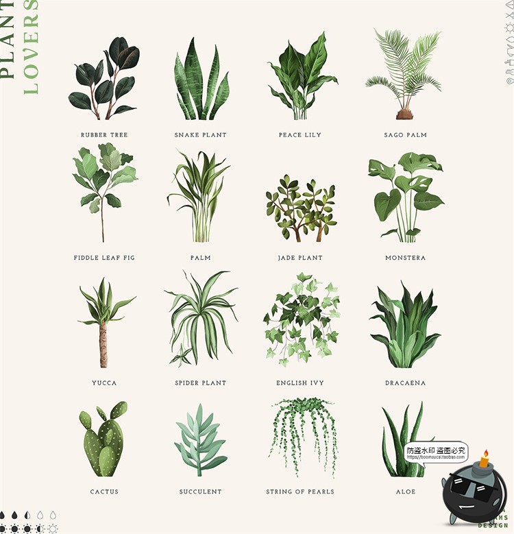 图片[2]-手绘水彩植物插画花盆架文艺底纹背景元素PNG免抠拼贴元素素材-设计猿