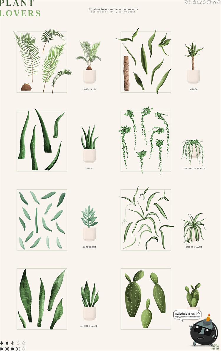 图片[8]-手绘水彩植物插画花盆架文艺底纹背景元素PNG免抠拼贴元素素材-设计猿