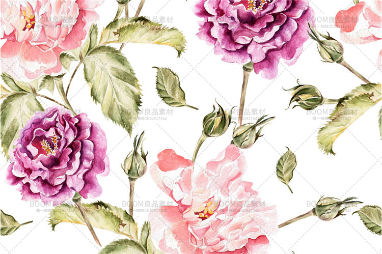 图片[5]-唯美水彩玫瑰牡丹百合花朵花蕾图案印刷婚礼请柬卡片PNG免扣素材-设计猿