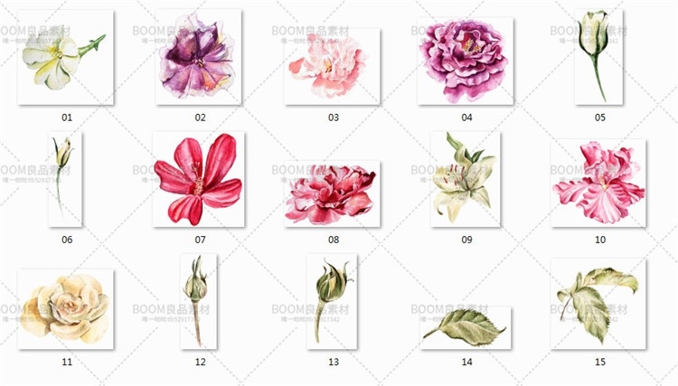 图片[6]-唯美水彩玫瑰牡丹百合花朵花蕾图案印刷婚礼请柬卡片PNG免扣素材-设计猿